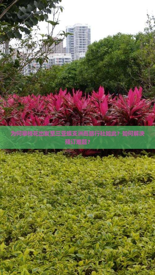 为何攀枝花出发至三亚蜈支洲岛旅行社如此？如何解决预订难题？