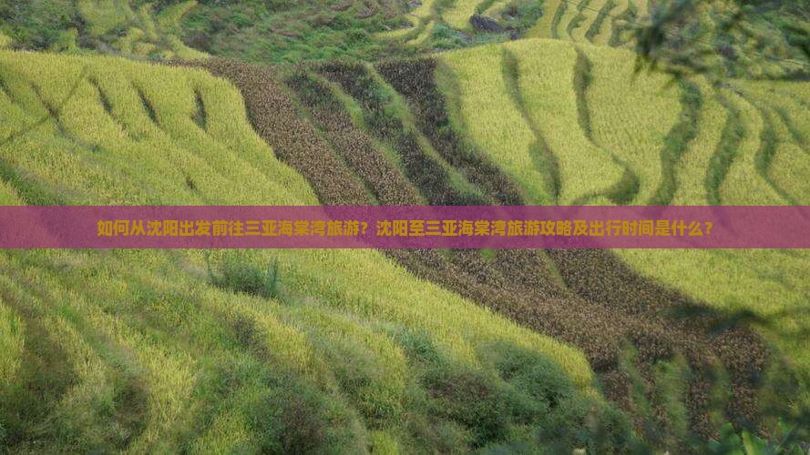 如何从沈阳出发前往三亚海棠湾旅游？沈阳至三亚海棠湾旅游攻略及出行时间是什么？