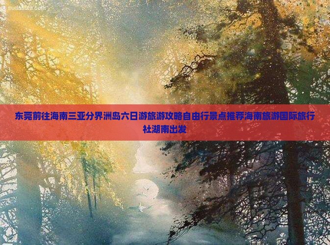 东莞前往海南三亚分界洲岛六日游旅游攻略自由行景点推荐海南旅游国际旅行社湖南出发