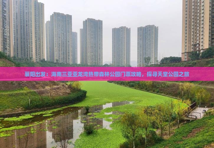 襄阳出发：海南三亚亚龙湾热带森林公园门票攻略，探寻天堂公园之旅