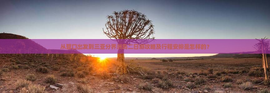 从营口出发到三亚分界洲岛二日游攻略及行程安排是怎样的？