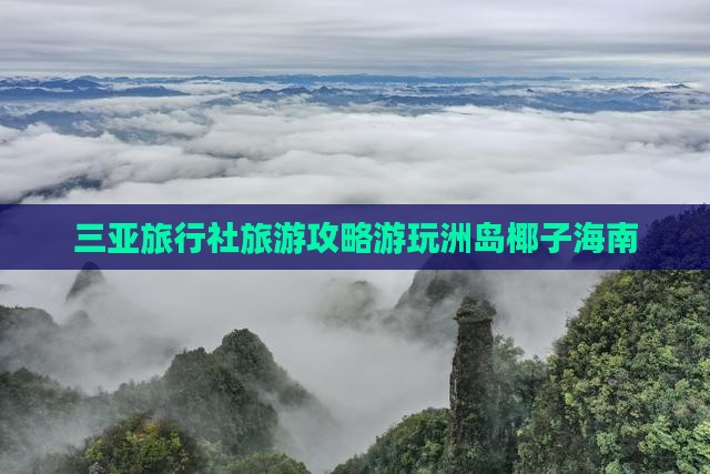 三亚旅行社旅游攻略游玩洲岛椰子海南