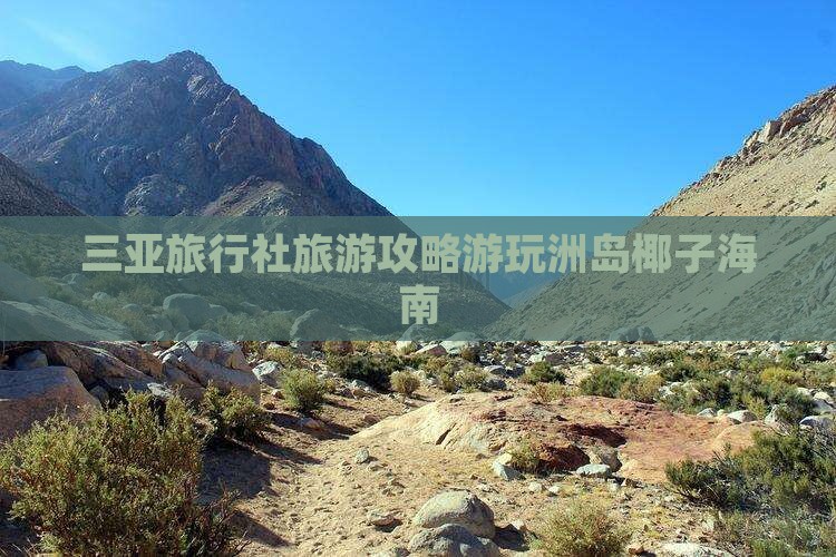 三亚旅行社旅游攻略游玩洲岛椰子海南