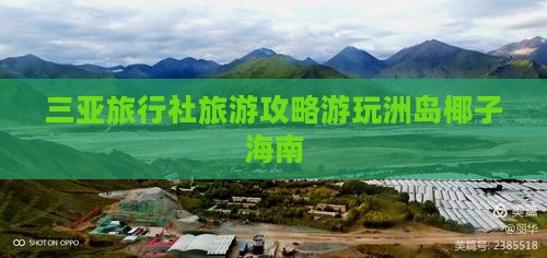 三亚旅行社旅游攻略游玩洲岛椰子海南