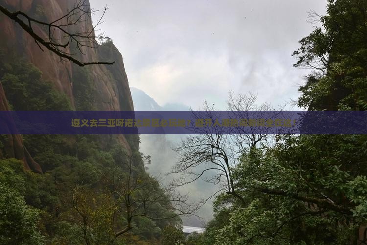 遵义去三亚呀诺达景区必玩地？避开人潮热词新词全在这！
