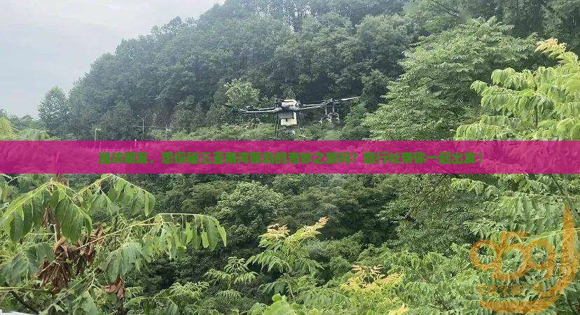 潍坊朋友，想探秘三亚南湾猴岛的奇妙之旅吗？旅行社带你一起出发！