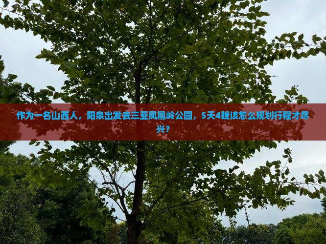 作为一名山西人，阳泉出发去三亚凤凰岭公园，5天4晚该怎么规划行程才尽兴？