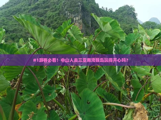 #1游客必看！中山人去三亚南湾猴岛玩得开心吗？