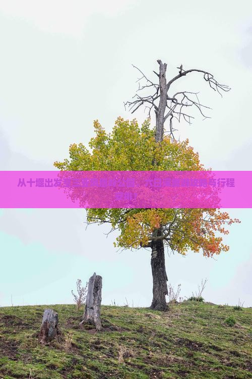 从十堰出发至三亚凤凰岭公园，六日深度游攻略与行程安排？