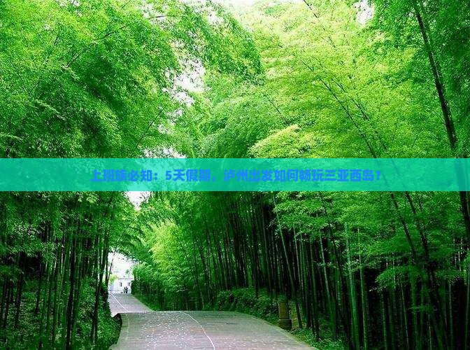 上班族必知：5天假期，泸州出发如何畅玩三亚西岛？