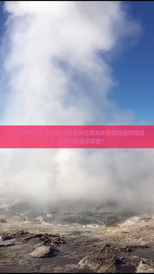 #1游客视角：宿州到三亚亚特兰蒂斯水族馆玩啥好吃啥？超全攻略急求解答！