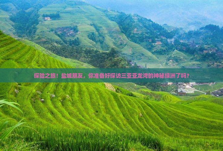 探险之旅！盐城朋友，你准备好探访三亚亚龙湾的神秘绿洲了吗？