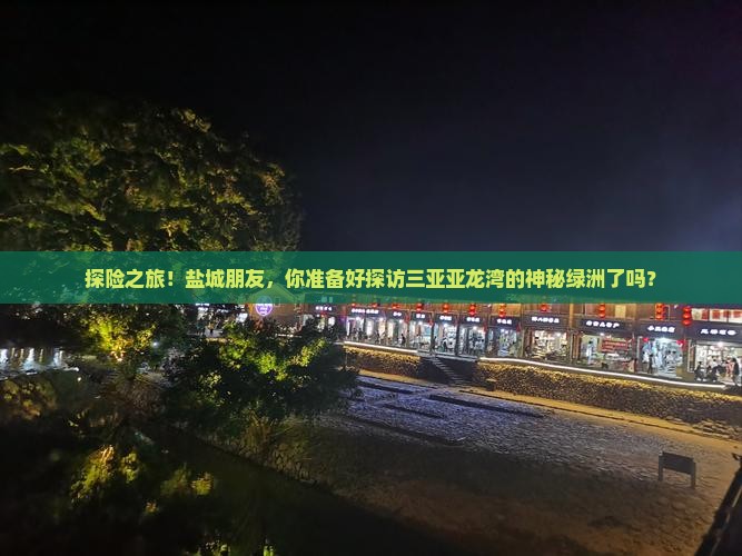 探险之旅！盐城朋友，你准备好探访三亚亚龙湾的神秘绿洲了吗？