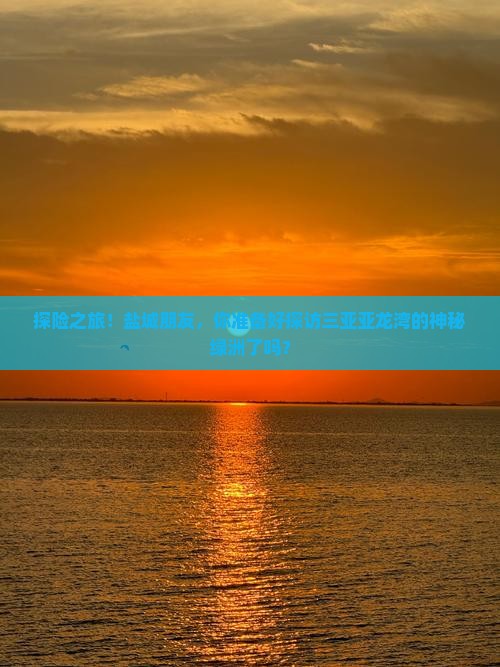 探险之旅！盐城朋友，你准备好探访三亚亚龙湾的神秘绿洲了吗？