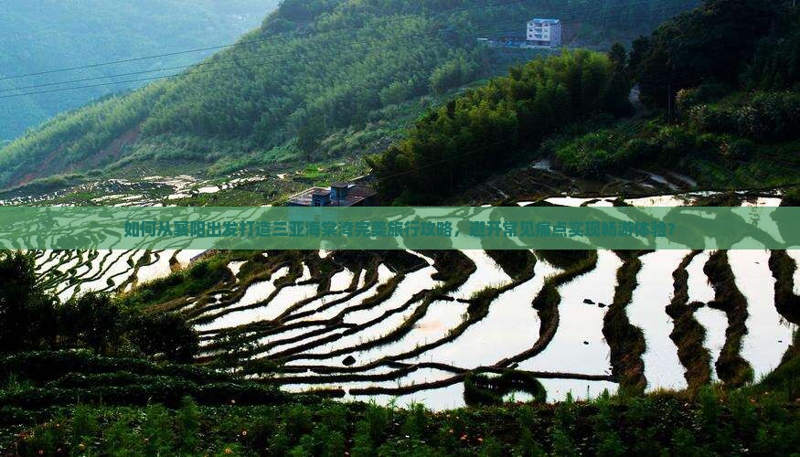 如何从襄阳出发打造三亚海棠湾完美旅行攻略，避开常见痛点实现畅游体验？