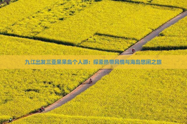 九江出发三亚呆呆岛个人游：探索热带风情与海岛悠闲之旅