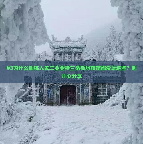 #3为什么仙桃人去三亚亚特兰蒂斯水族馆都爱玩这些？超开心分享