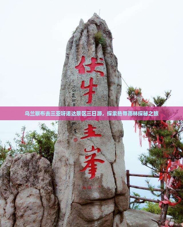 乌兰察布去三亚呀诺达景区三日游，探索热带雨林探秘之旅