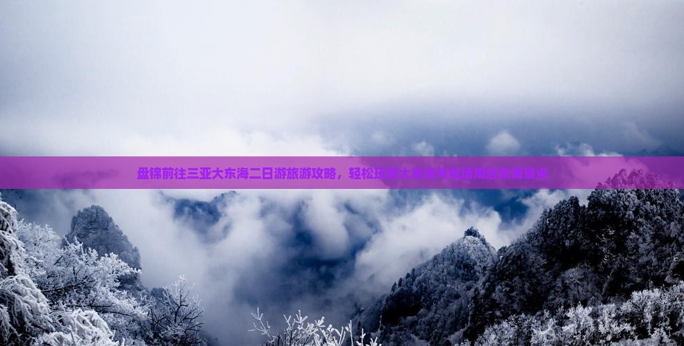 盘锦前往三亚大东海二日游旅游攻略，轻松玩转大东海与机场周边东海景点