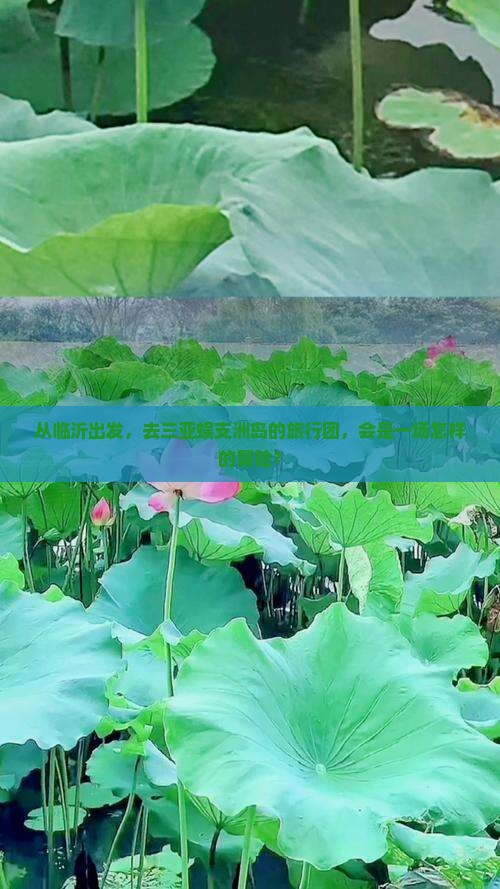从临沂出发，去三亚蜈支洲岛的旅行团，会是一场怎样的冒险？