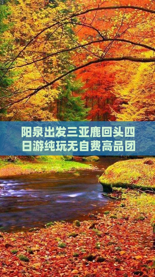 阳泉出发三亚鹿回头四日游纯玩无自费高品团