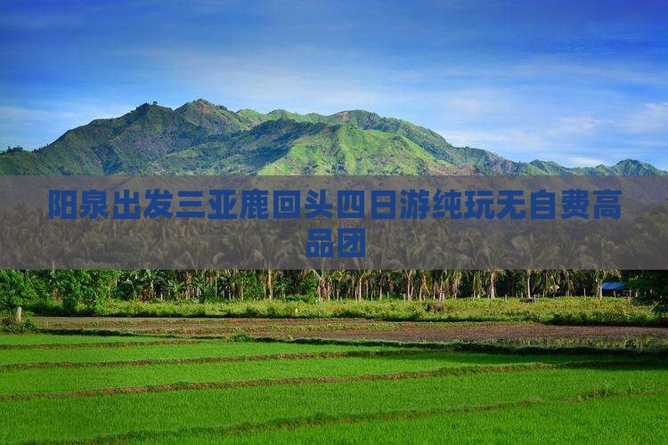 阳泉出发三亚鹿回头四日游纯玩无自费高品团