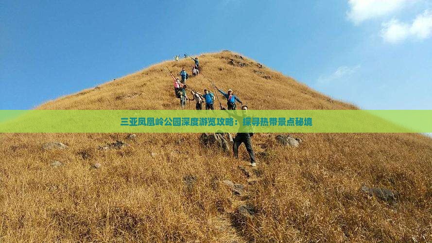 三亚凤凰岭公园深度游览攻略：探寻热带景点秘境