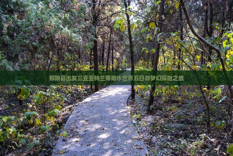 鄢陵县出发三亚亚特兰蒂斯水世界五日游梦幻探险之旅