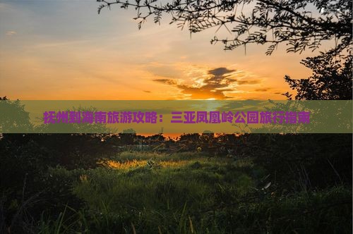 抚州到海南旅游攻略：三亚凤凰岭公园旅行指南