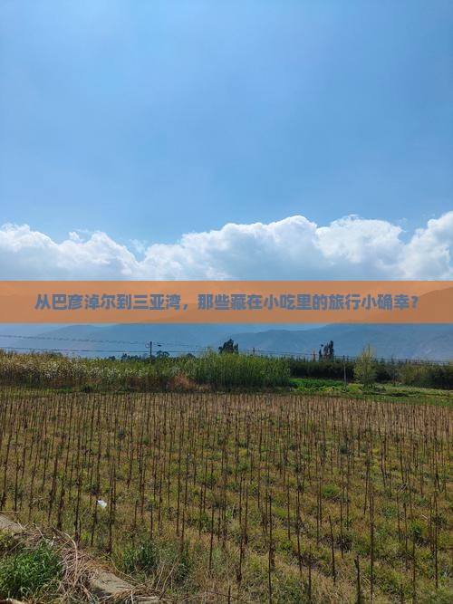 从巴彦淖尔到三亚湾，那些藏在小吃里的旅行小确幸？