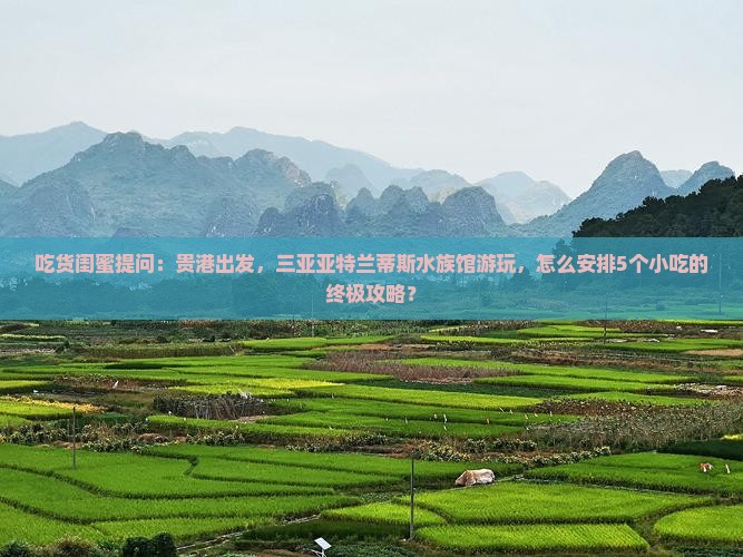 吃货闺蜜提问：贵港出发，三亚亚特兰蒂斯水族馆游玩，怎么安排5个小吃的终极攻略？