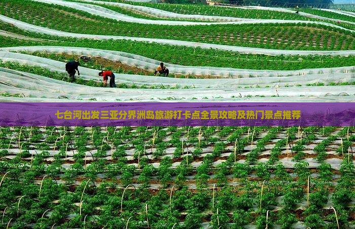 七台河出发三亚分界洲岛旅游打卡点全景攻略及热门景点推荐