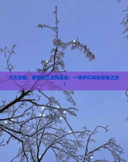 六天穿越，泰安到三亚凤凰岛：一场梦幻海岛探秘之旅！