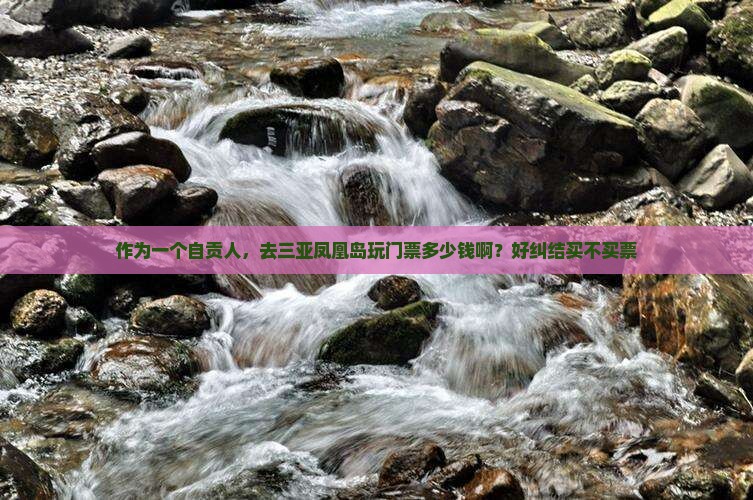 作为一个自贡人，去三亚凤凰岛玩门票多少钱啊？好纠结买不买票