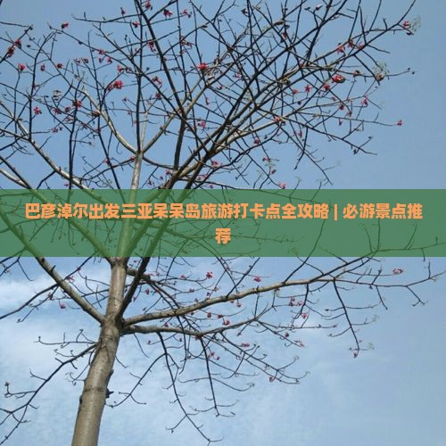 巴彦淖尔出发三亚呆呆岛旅游打卡点全攻略 | 必游景点推荐