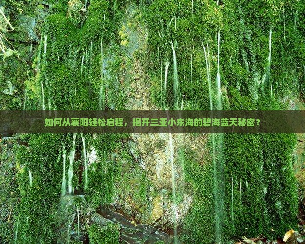 如何从襄阳轻松启程，揭开三亚小东海的碧海蓝天秘密？