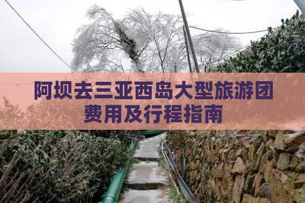 阿坝去三亚西岛大型旅游团费用及行程指南