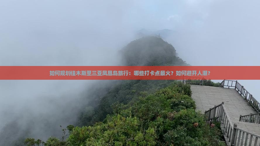 如何规划佳木斯至三亚凤凰岛旅行：哪些打卡点最火？如何避开人潮？
