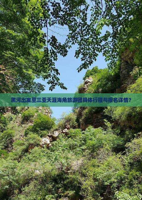 黑河出发至三亚天涯海角旅游团具体行程与报名详情？