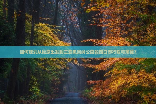 如何规划从松原出发到三亚凤凰岭公园的四日游行程与预算？