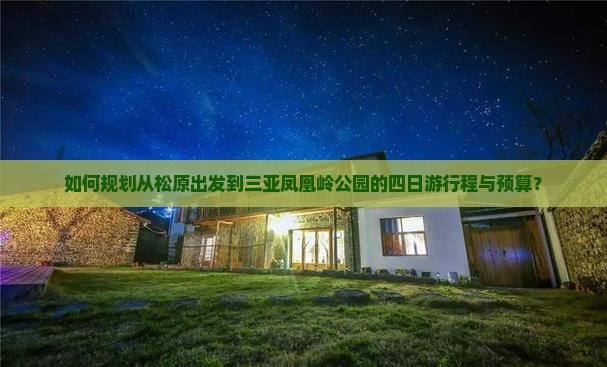 如何规划从松原出发到三亚凤凰岭公园的四日游行程与预算？
