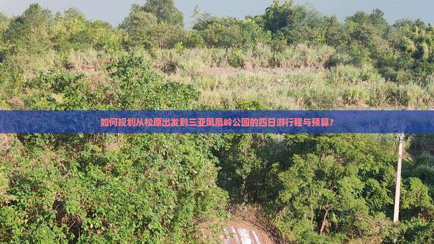 如何规划从松原出发到三亚凤凰岭公园的四日游行程与预算？