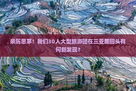 亲历思茅！我们30人大型旅游团在三亚鹿回头有何新发现？
