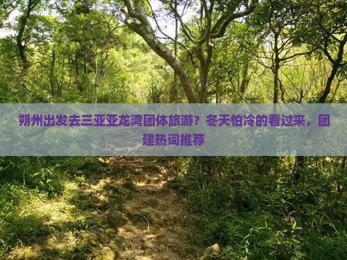 朔州出发去三亚亚龙湾团体旅游？冬天怕冷的看过来，团建热词推荐