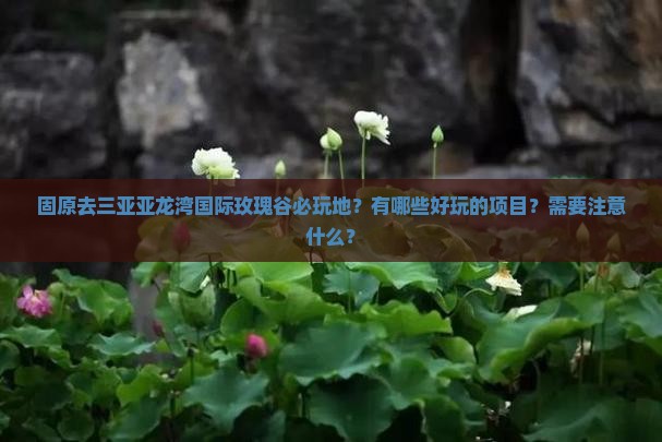 固原去三亚亚龙湾国际玫瑰谷必玩地？有哪些好玩的项目？需要注意什么？