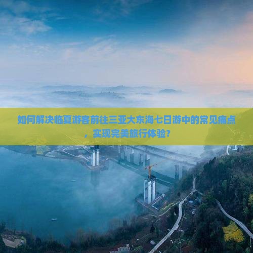 如何解决临夏游客前往三亚大东海七日游中的常见痛点，实现完美旅行体验？