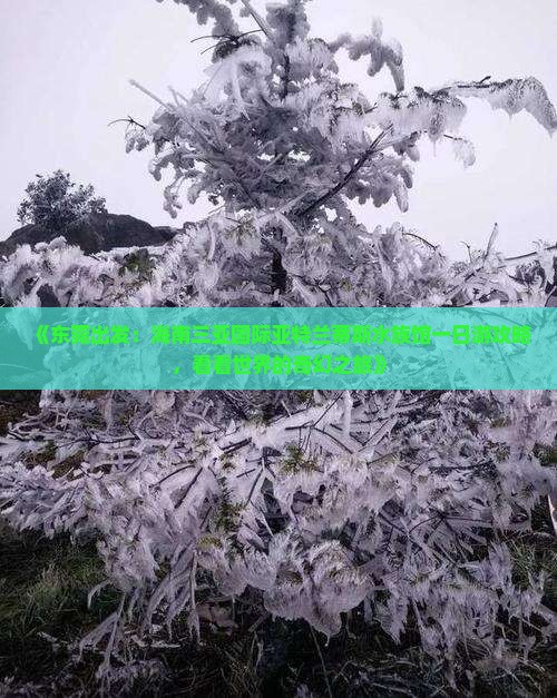 《东莞出发：海南三亚国际亚特兰蒂斯水族馆一日游攻略，看看世界的奇幻之旅》