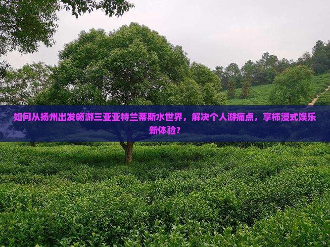 如何从扬州出发畅游三亚亚特兰蒂斯水世界，解决个人游痛点，享柿浸式娱乐新体验？