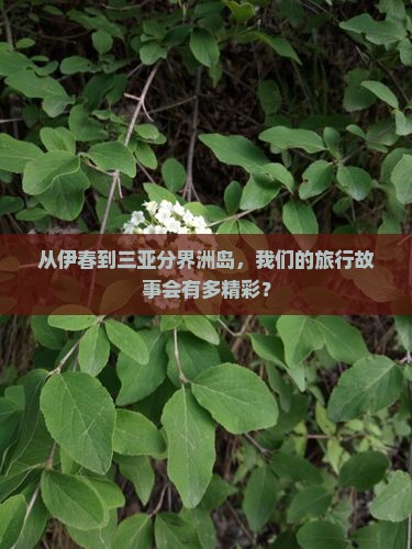 从伊春到三亚分界洲岛，我们的旅行故事会有多精彩？
