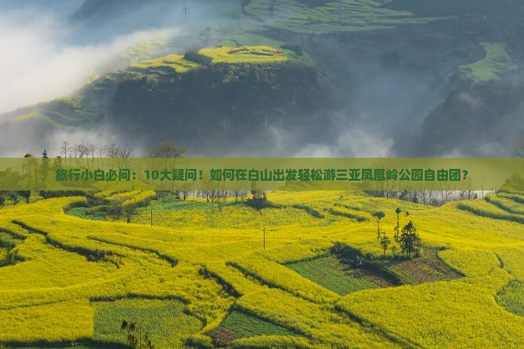 旅行小白必问：10大疑问！如何在白山出发轻松游三亚凤凰岭公园自由团？